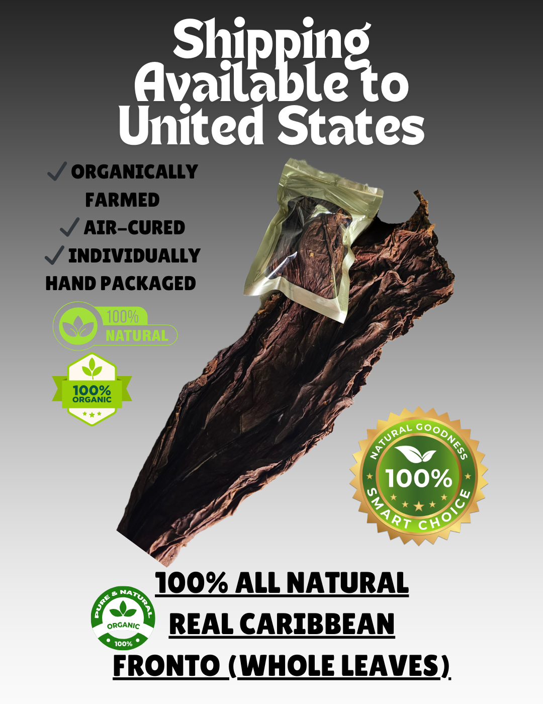 All Natural Real Caribbean Fronto (Whole Leaves)