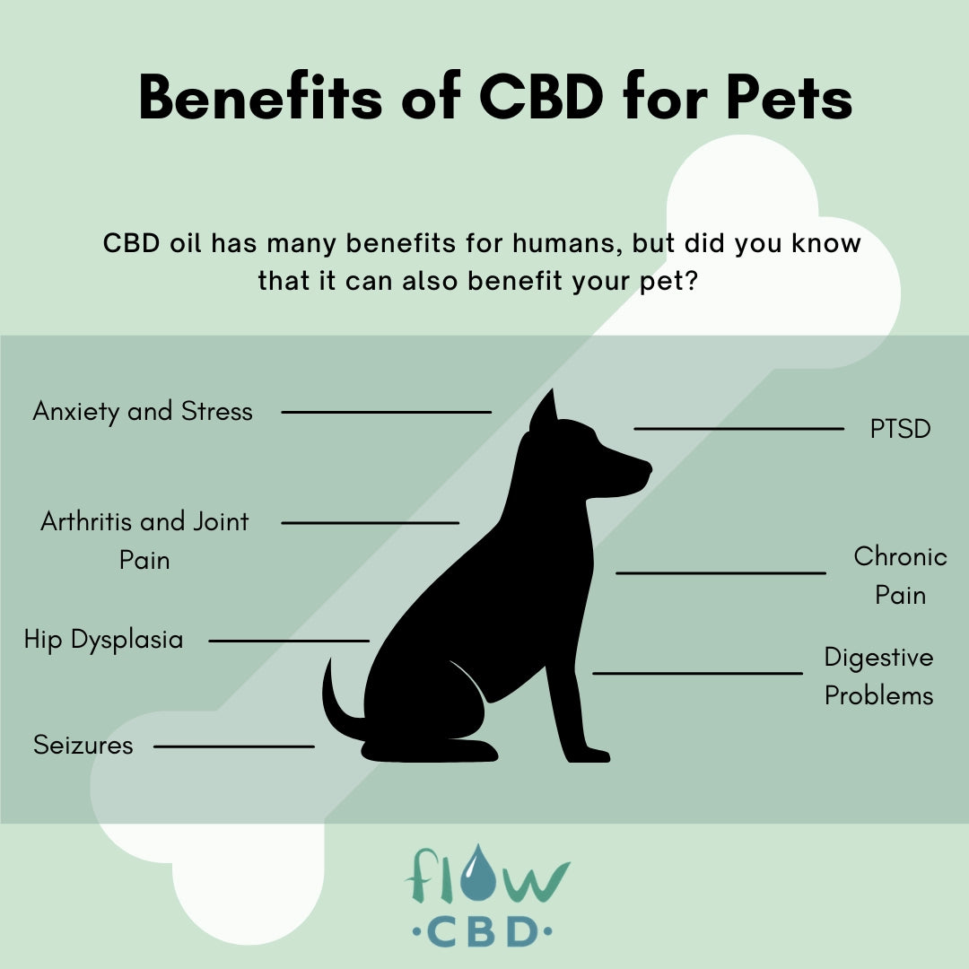 Pawsitive Pet Wellness: CBD Collection