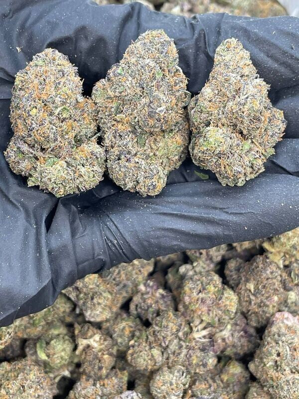 Premium Selection