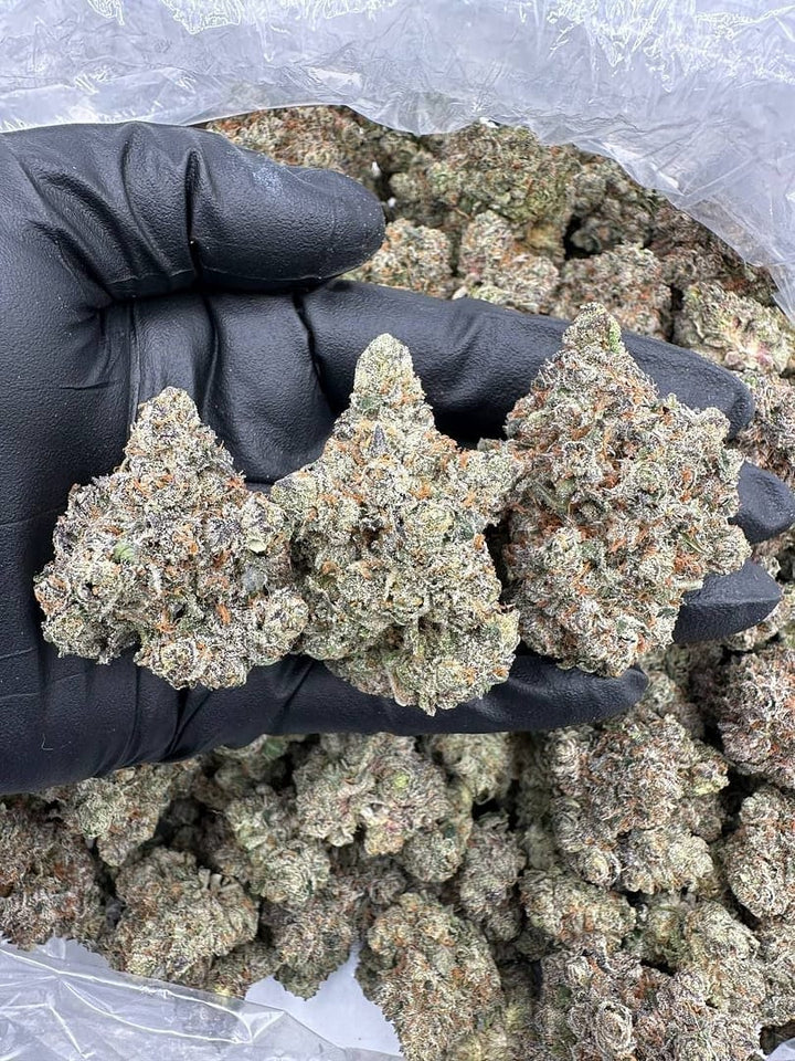 Premium Selection