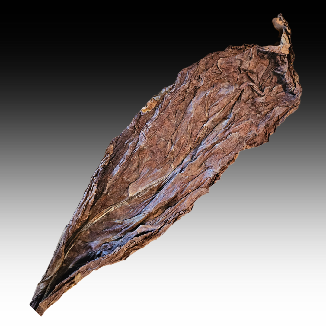 All Natural Real Caribbean Fronto (Whole Leaves)